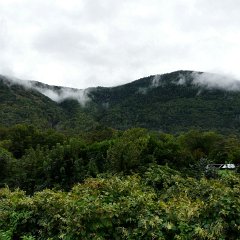 P1020880 (Copier)
